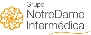 NotreDame grupo